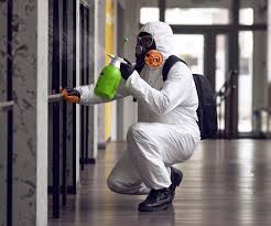  , USA Mold Remediation Pros